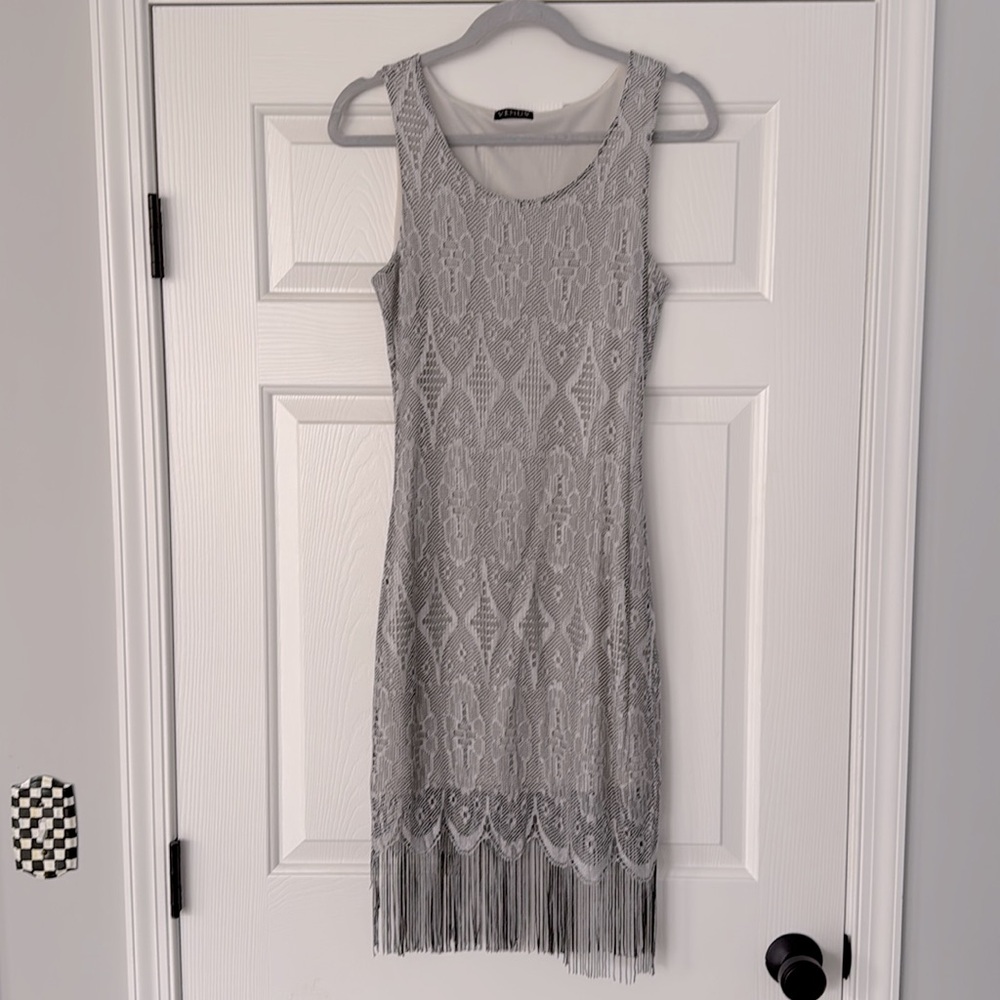 Silver Lace Crochet Bodycon Lined Dress with Fringe Hem Scoop Neck Sleeveless S - Picture 3 of 11